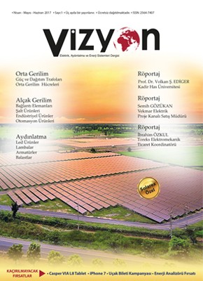 Vizyon Sayı 1